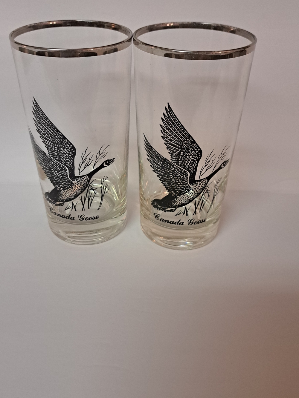 Canada Goose Silver-Rimmed Clear Glass Tumbler - Set of 2